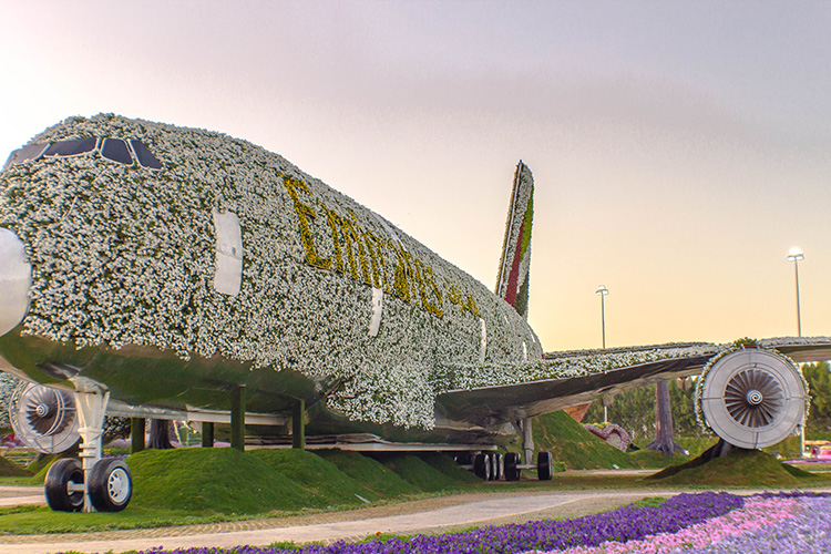 Front view of Emirates A380 at Dubai Miracle Garden