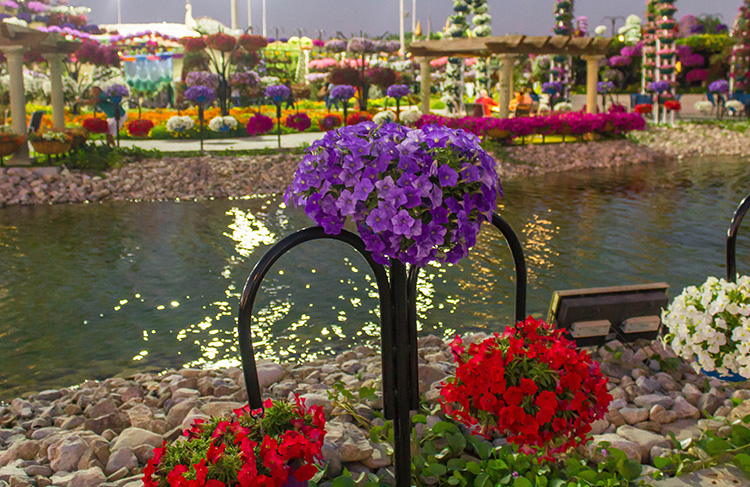 Beautiful flowers by a small stream at Dubai Miracle Garden