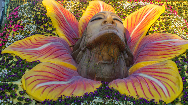 Face inside a flower at Dubai Miracle Garden