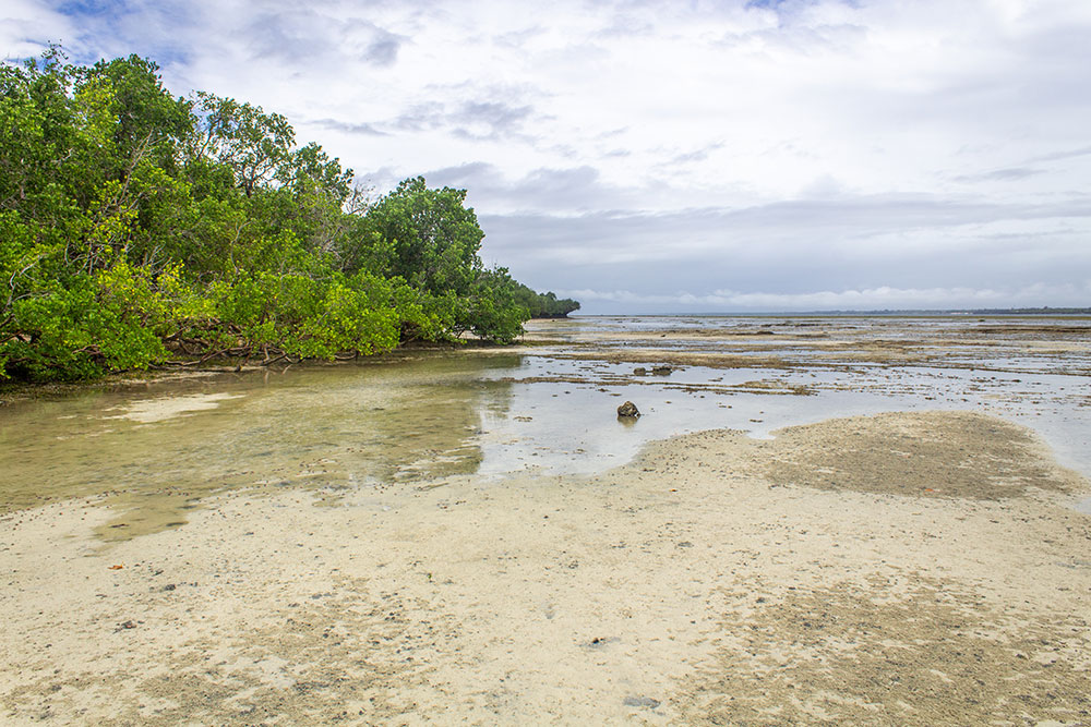 A view of Chale Island during the low tide