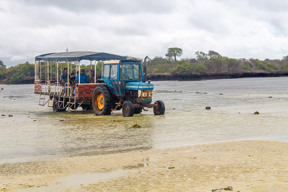 Tractor crossing the ocean between the Chale Island and the main land during low tide